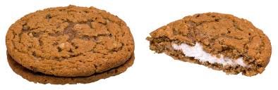 Freeze Dried Oatmeal Delights, 2 cakes